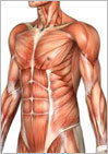 Mat Teacher Training & Anatomy Camp Anatomy Camp